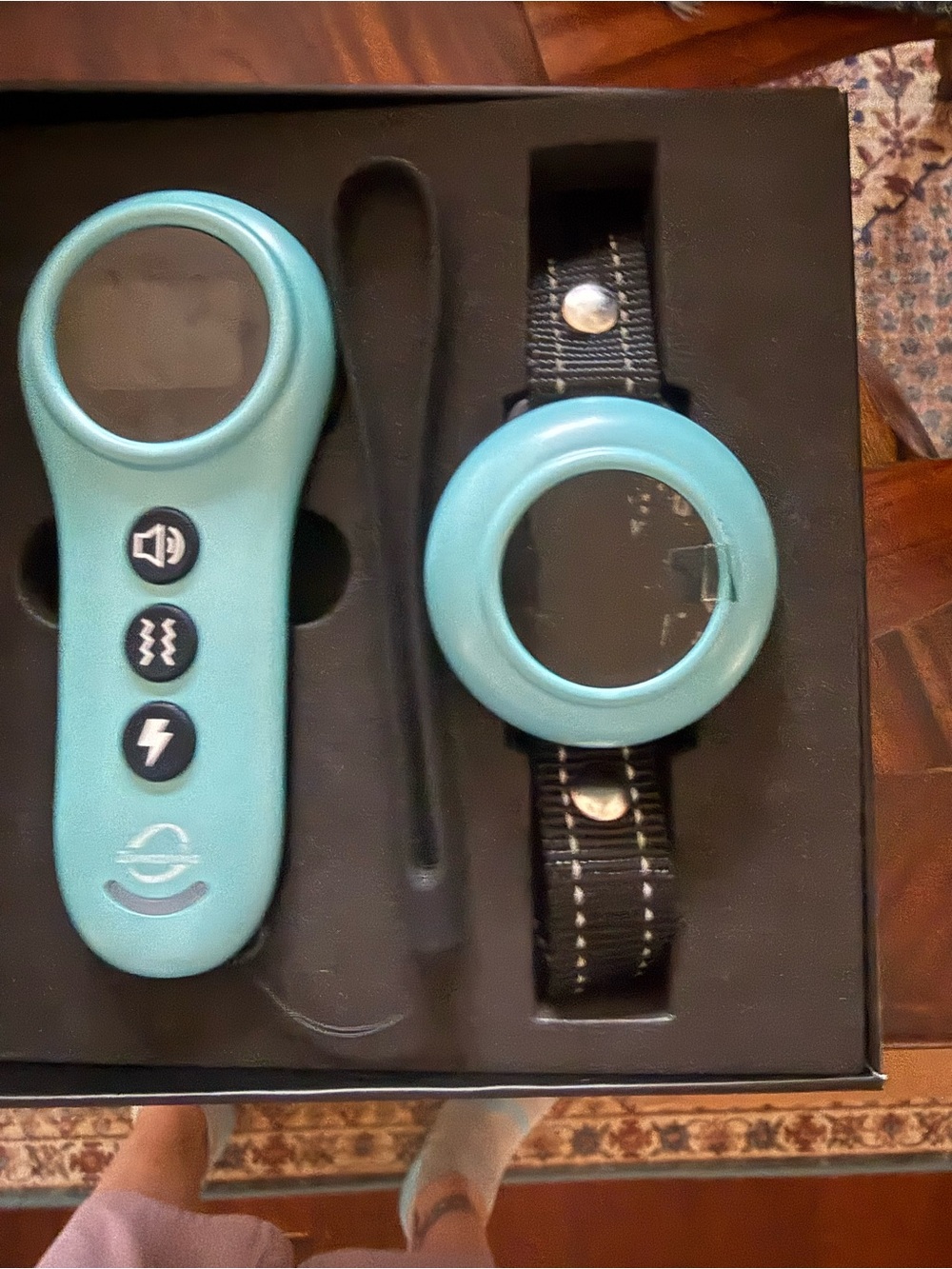 Teal Dog Training Remote with Teal Collar Receiver